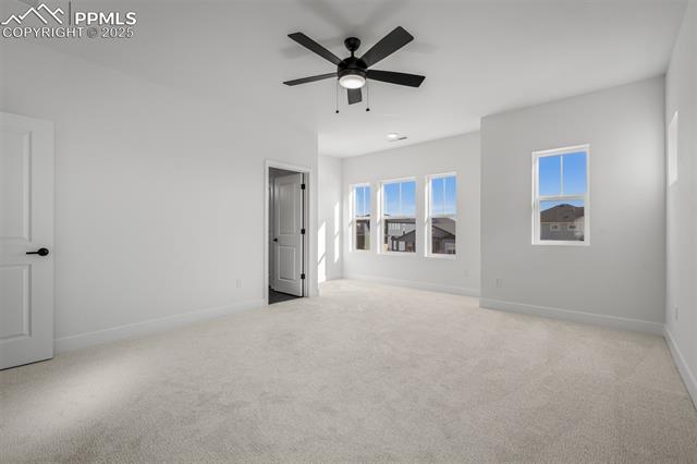 MLS Image for 8916  Wolf Valley  ,Colorado Springs, Colorado