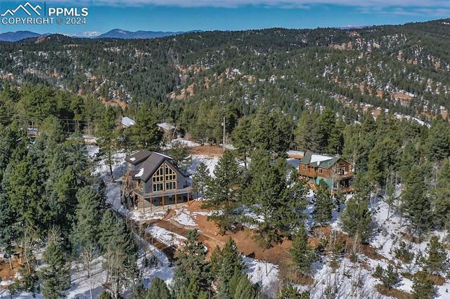 MLS Image for 125  Kestrel  ,Divide, Colorado