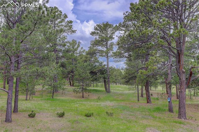MLS Image for 14810  Herring  ,Colorado Springs, Colorado
