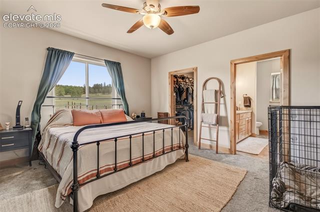 MLS Image for 378  High Pasture  ,Florissant, Colorado