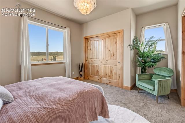 MLS Image for 378  High Pasture  ,Florissant, Colorado