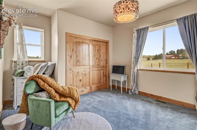 MLS Image for 378  High Pasture  ,Florissant, Colorado