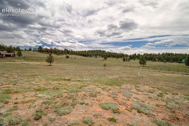 MLS Image for 378  High Pasture  ,Florissant, Colorado