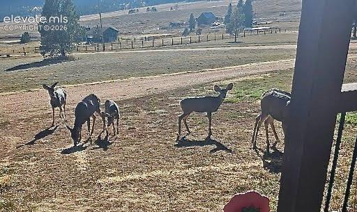 MLS Image for 378  High Pasture  ,Florissant, Colorado