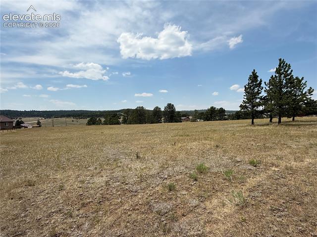 MLS Image for 378  High Pasture  ,Florissant, Colorado