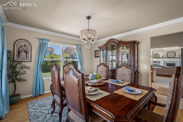MLS Image for 5521  Calamity Jane  ,Colorado Springs, Colorado