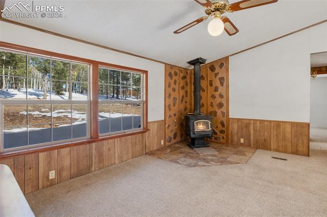 MLS Image for 227  Evergreen  ,Woodland Park, Colorado