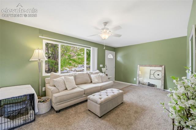 MLS Image for 4526  Del Verde  ,Colorado Springs, Colorado