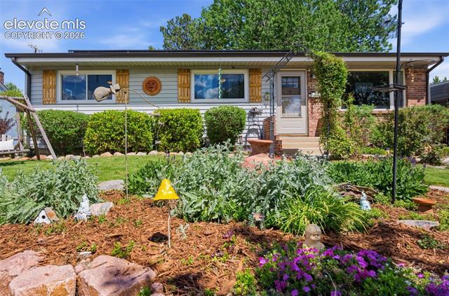 MLS Image for 3120  Brady  ,Colorado Springs, Colorado