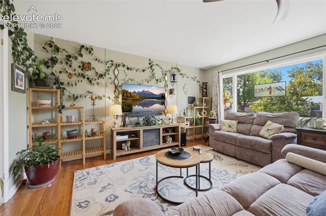 MLS Image for 3120  Brady  ,Colorado Springs, Colorado
