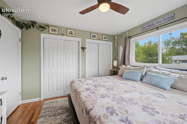 MLS Image for 3120  Brady  ,Colorado Springs, Colorado