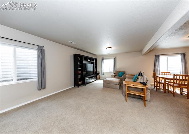 MLS Image for 9553  Newport Plum  ,Colorado Springs, Colorado