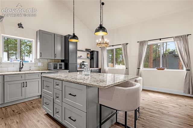 MLS Image for 114  Homestead  ,Florissant, Colorado