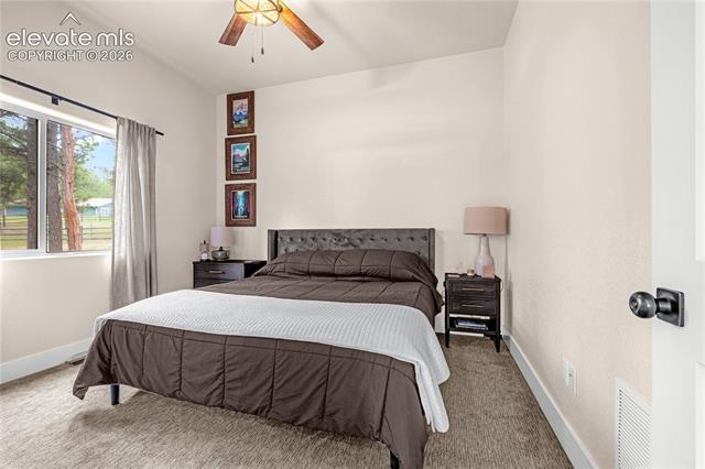 MLS Image for 114  Homestead  ,Florissant, Colorado