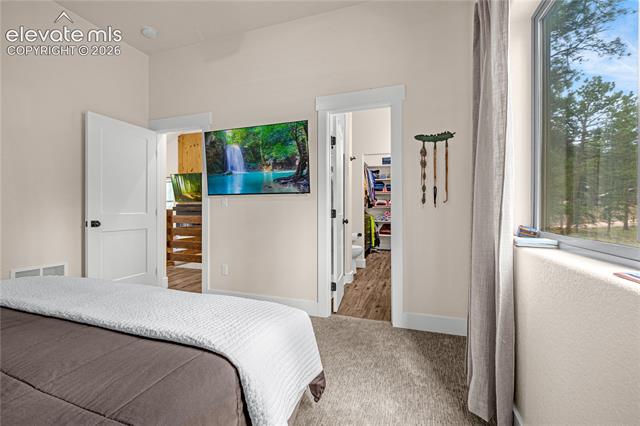MLS Image for 114  Homestead  ,Florissant, Colorado
