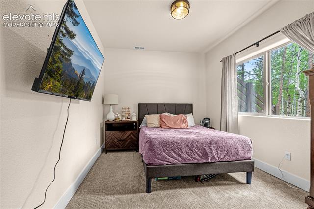 MLS Image for 114  Homestead  ,Florissant, Colorado