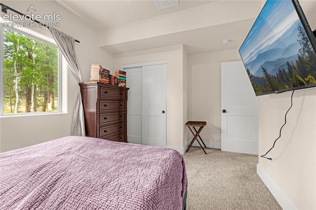 MLS Image for 114  Homestead  ,Florissant, Colorado