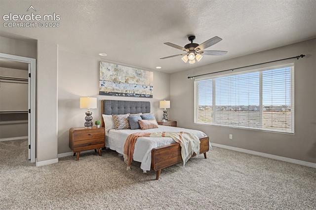 MLS Image for 7926  Dutch  ,Colorado Springs, Colorado