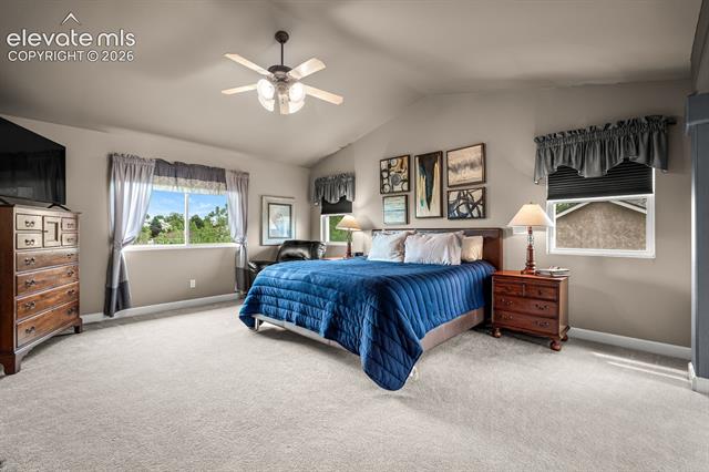 MLS Image for 5655  Bridlespur Ridge  ,Colorado Springs, Colorado