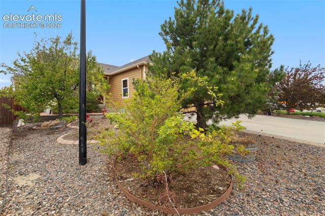 MLS Image for 10060  Everglades  ,Peyton, Colorado