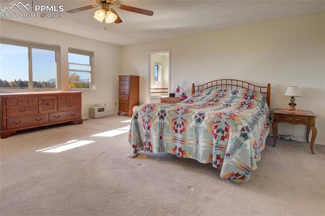 MLS Image for 4445  Cobbleskill  ,Colorado Springs, Colorado