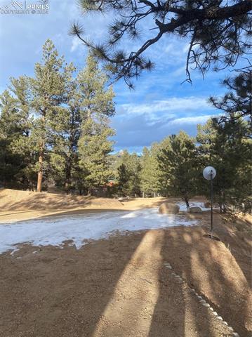 MLS Image for 201  Forest Glen  ,Florissant, Colorado