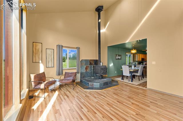MLS Image for 428  Ridge  ,Divide, Colorado