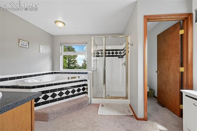 MLS Image for 82  Apache Creek  ,Florissant, Colorado