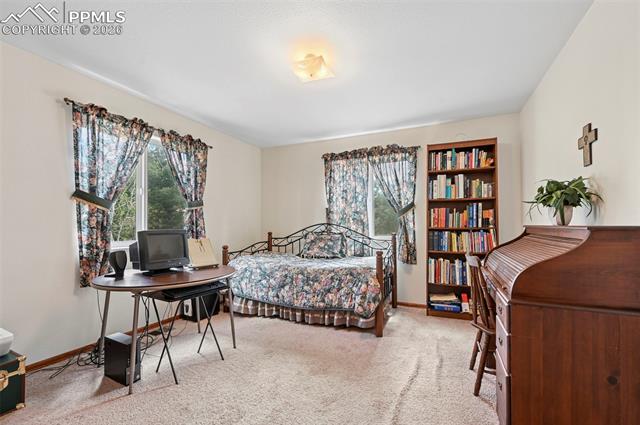 MLS Image for 82  Apache Creek  ,Florissant, Colorado