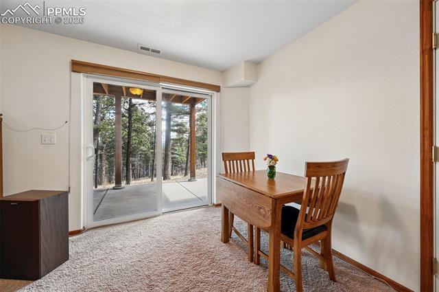 MLS Image for 82  Apache Creek  ,Florissant, Colorado
