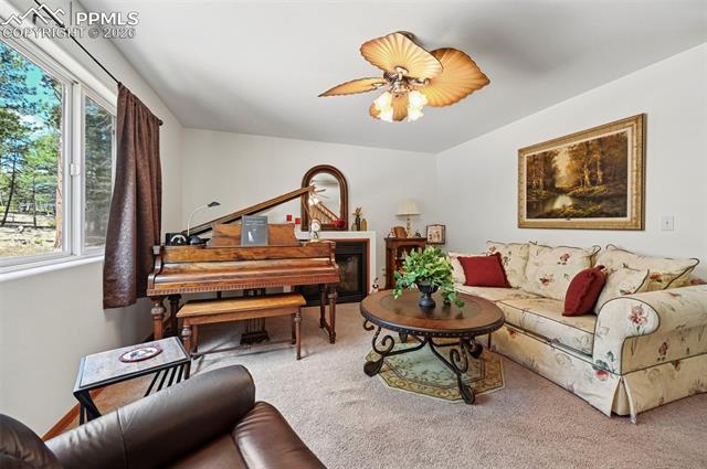 MLS Image for 82  Apache Creek  ,Florissant, Colorado