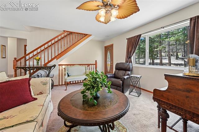 MLS Image for 82  Apache Creek  ,Florissant, Colorado
