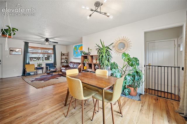 MLS Image for 1531  Saratoga  ,Colorado Springs, Colorado