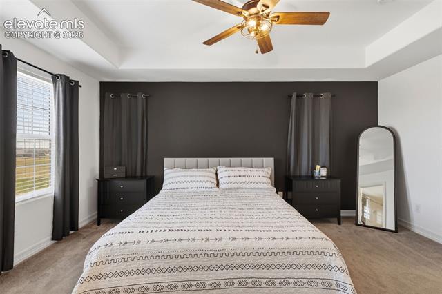 MLS Image for 6667  Cottonwood Tree  ,Colorado Springs, Colorado