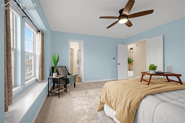 MLS Image for 8735  Turnbridge  ,Colorado Springs, Colorado