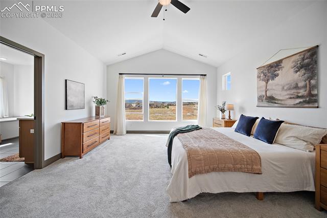 MLS Image for 8860  Frolic  ,Colorado Springs, Colorado