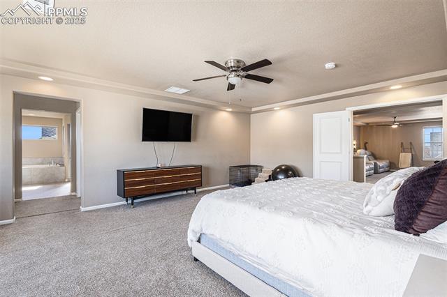 MLS Image for 7834  Treehouse  ,Fountain, Colorado