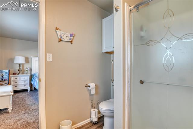 MLS Image for 17  Garfield  ,Florissant, Colorado