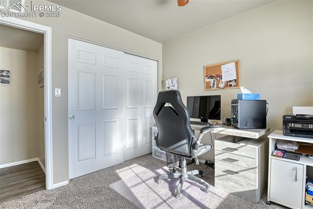 MLS Image for 17  Garfield  ,Florissant, Colorado