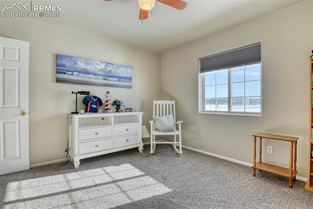 MLS Image for 17  Garfield  ,Florissant, Colorado