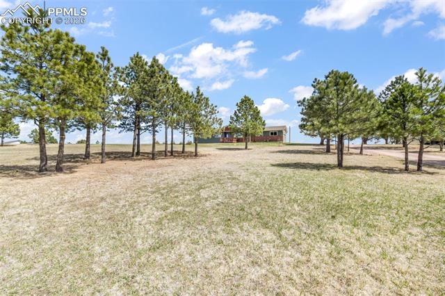MLS Image for 16735  High Tree  ,Elbert, Colorado