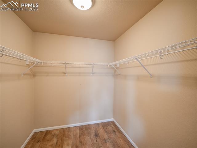 MLS Image for 2521  Sierra Springs  ,Colorado Springs, Colorado