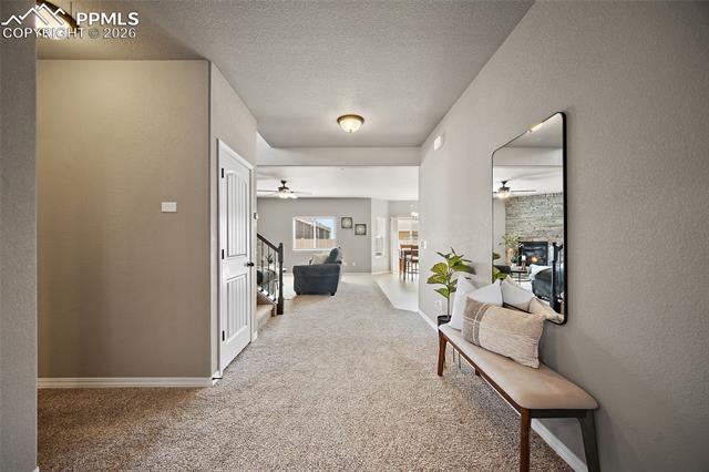 MLS Image for 7185  Aspen Brush  ,Colorado Springs, Colorado
