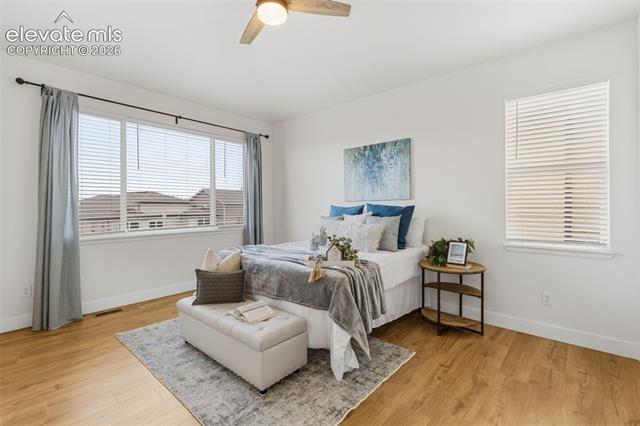 MLS Image for 6577  Andretti  ,Colorado Springs, Colorado