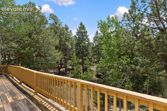 MLS Image for 124  Cradle Lake  ,Divide, Colorado