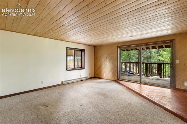 MLS Image for 124  Cradle Lake  ,Divide, Colorado