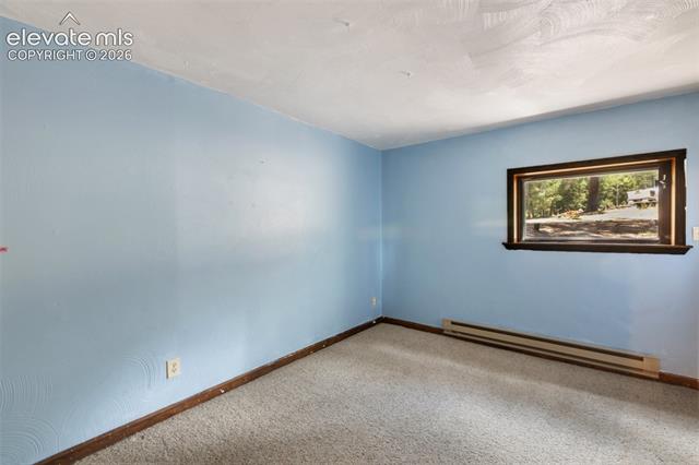 MLS Image for 124  Cradle Lake  ,Divide, Colorado