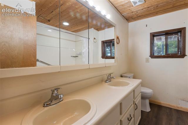 MLS Image for 124  Cradle Lake  ,Divide, Colorado