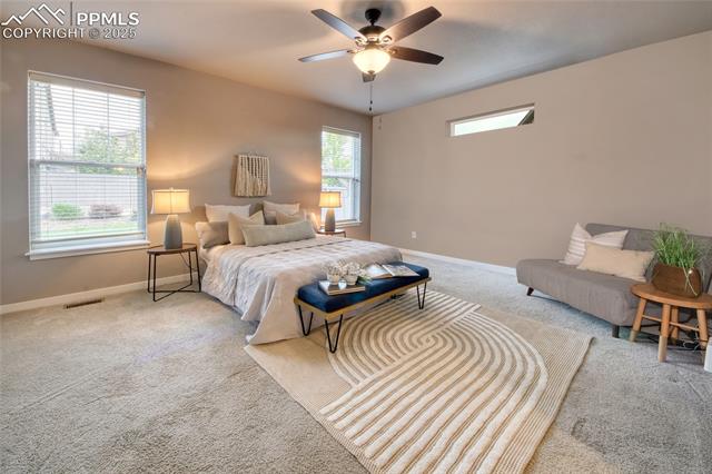 MLS Image for 4228  Notch  ,Colorado Springs, Colorado