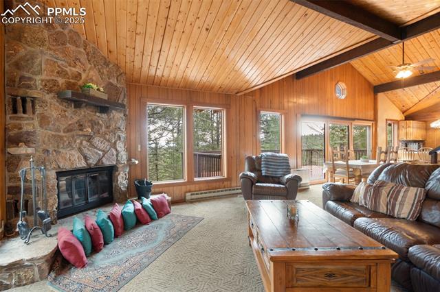 MLS Image for 351  Porphry  ,Florissant, Colorado